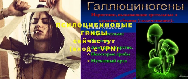 соль ск Алексин