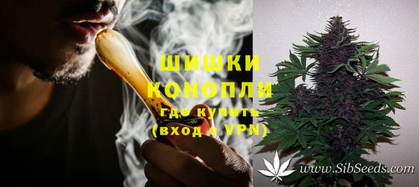 сатива Алексеевка